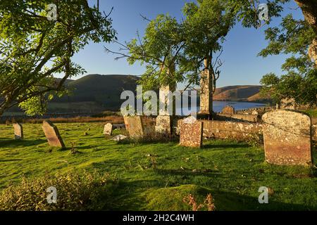 Tôt le matin, la lumière joue sur un vieux frêne dans St. Mary's Kirkyard par St.Mary's Loch.Créer une présélection Woodland Trust Tree de l'année 2021. Banque D'Images