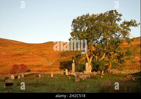 Tôt le matin, la lumière joue sur un vieux frêne dans St. Mary's Kirkyard par St.Mary's Loch.Créer une présélection Woodland Trust Tree de l'année 2021. Banque D'Images