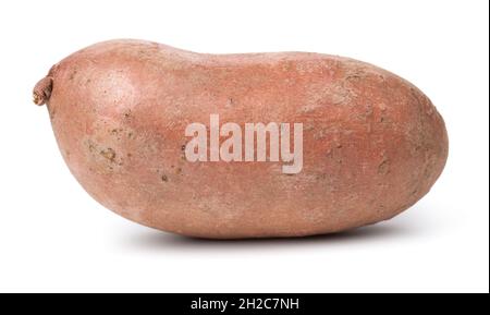 Patate douce saine isolée sur fond blanc Banque D'Images