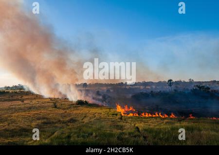 Vue aérienne d'un feu de brousse dans le delta d'Okavango.Delta d'Okavango, Botswana. Banque D'Images