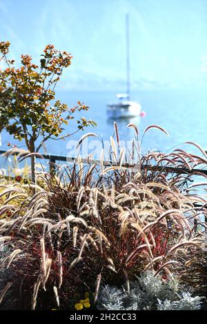 Herbstmunstimg in Altmünster am Traunsee (Gmunden, Salzkammergut, Oberösterreich) - ambiance automnale à Altmünster am Traunsee (Gmunden, Salzkammergut, UPP Banque D'Images