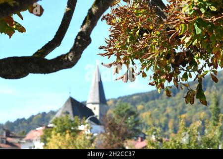 Herbstmunstimg in Altmünster am Traunsee (Gmunden, Salzkammergut, Oberösterreich) - ambiance automnale à Altmünster am Traunsee (Gmunden, Salzkammergut, UPP Banque D'Images