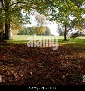 Watford, Hertfordshire, Angleterre, octobre 16 2021 : Cassiobury Park en automne. Banque D'Images