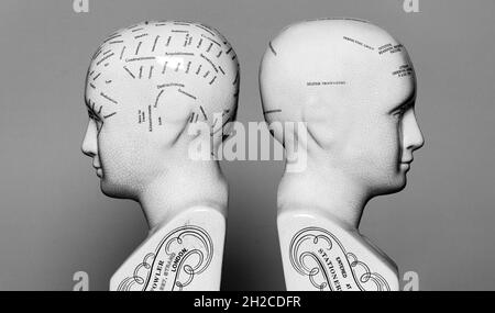 deux têtes de phroénologie, concept de santé mentale. Banque D'Images