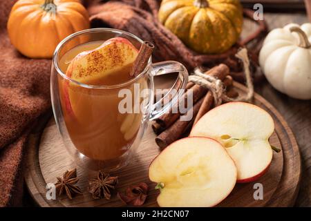 Tasse de cidre de pomme avec des tranches de pommes et de cannelle sur un plateau en bois avec des citrouilles en arrière-plan Banque D'Images
