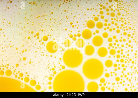 Macro photographie des gouttes d'huile sur la surface de l'eau.cercles cosmiques ressemble à la structure de molécule.toile de fond avec espace de copie,bon comme modèle. Banque D'Images