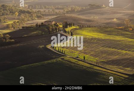 Tôt le matin, belles collines de Toscane vue sur le paysage avec des champs ondulés recouverts d'herbes vertes et labourées.La lumière du lever du soleil couvre les prairies et les champs maki Banque D'Images