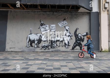 Glasgow, Écosse, Royaume-Uni.21 octobre 2021.Œuvres d'art murales réalisées par l'ours Rebel.Credit: SKULLY/Alay Live News Banque D'Images