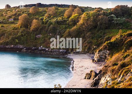 La lumière du matin tombe sur la baie St. Mary's dans le sud du Devon. Banque D'Images