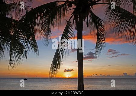 Bateau à voile ancré et palmiers silhouetés contre le ciel du coucher du soleil le long de la côte ouest de l'île française de Martinique dans la mer des Caraïbes Banque D'Images
