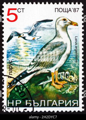 BULGARIE - VERS 1988 : un timbre imprimé en Bulgarie montre le Goéland argenté européen, larus argentatus, oiseau, vers 1988 Banque D'Images