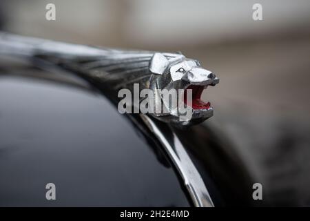 Reocin, Cantabria, Espagne - 2 octobre 2021 : exposition de véhicules classiques.La Peugeot 203 est une voiture produite par le constructeur français entre 1948 Banque D'Images