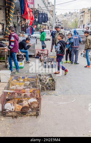 AMMAN, JORDANIE - 23 MARS 2017 : décrochage du marché des animaux vivants à Amman Banque D'Images