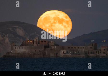 Portland, Dorset, Royaume-Uni.21 octobre 2021.Météo Royaume-Uni.La presque complète Hunter's Moon s'élève de derrière les falaises de la côte jurassique au-dessus du fort historique de Breakwater de Portland du XIXe siècle sur le brise-lames extérieur du port de Portland près de Weymouth dans le Dorset.Le fort aujourd'hui abandonné, également connu sous le nom de fort à damiers, a été construit entre 1868 et 1878 et est classé de catégorie II.Crédit photo : Graham Hunt/Alamy Live News Banque D'Images