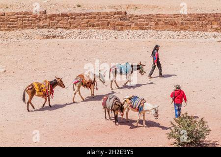 PETRA, JORDANIE - 24 MARS 2017 : hommes locaux avec ânes dans la ville antique de Petra, Jordanie Banque D'Images