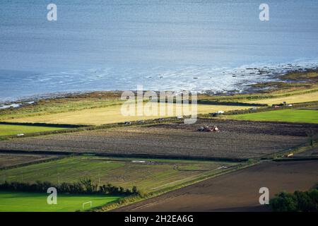Récolte de pommes de terre irlandaises.Vue aérienne des champs de pommes de terre près de Comber dans County Down, Irlande du Nord.29.10.2019 Banque D'Images