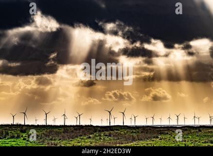Walney Island, Barrow-in-Furness, Cumbria, Royaume-Uni.21 octobre 2021.Beaucoup de vent de puissance que les nuages de tempête se rassemblent au-dessus de Walney Wind Farm, 9 miles au large de Walney Island, Cumbria, Royaume-Uni crédit: John Eveson/Alamy Live News Banque D'Images