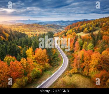 Vue aérienne de la route dans une forêt colorée au coucher du soleil en automne Banque D'Images