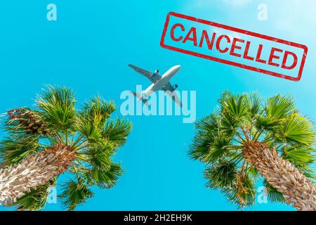 Avion de passagers survolant les palmiers contre le ciel bleu. Banque D'Images