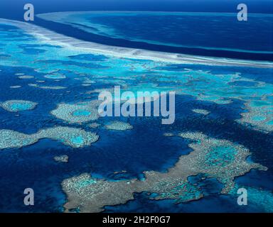 L'Australie. Le Queensland. Grande Barrière de Corail. Vue aérienne. Banque D'Images