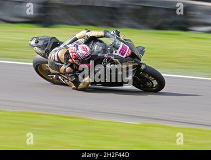 Bennetts British Superbike, 28 ans, Bradley Ray, Rich Energy OMG Racing BMW Banque D'Images