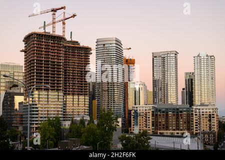 Seattle - 25 juillet 2021 ; les grues de construction s'élèvent au-dessus de grands bâtiments dans le centre-ville de Seattle au lever du soleil Banque D'Images