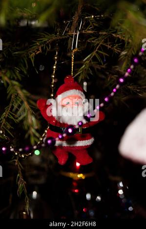 Nouvel an ou Noël en direct décoré avec élégance épinette gros plan - grand-père givre sur le fond des branches vertes. Banque D'Images