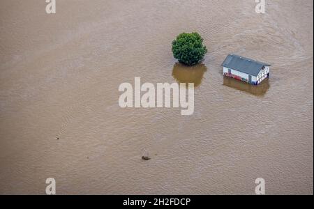 Vue aérienne, inondation de la Ruhr, maison solitaire en inondation, entourée d'eau, inondation, météo, région de la Ruhr,Rhénanie-du-Nord-Westphalie, Allemagne, DE, Europe, oiseaux- Banque D'Images