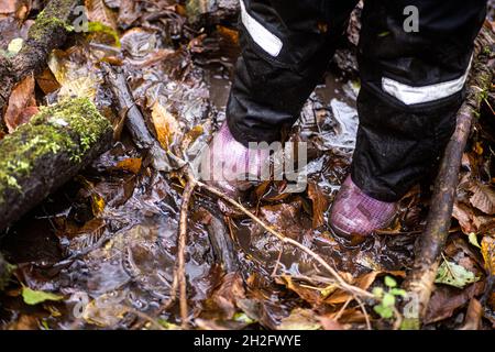 Les pieds des enfants dans des bottes en caoutchouc et un pantalon imperméable sur un ruisseau de forêt qui coule parmi des rondins débordant de mousse avec des feuilles d'automne tombées.Automne Banque D'Images