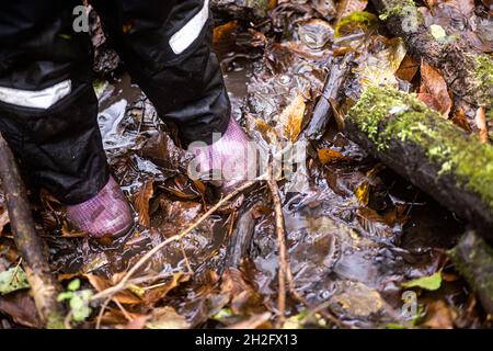 Les pieds des enfants dans des bottes en caoutchouc et un pantalon imperméable sur un ruisseau de forêt qui coule parmi des rondins débordant de mousse avec des feuilles d'automne tombées.Automne Banque D'Images