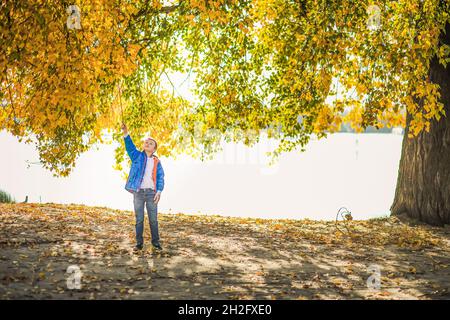 le garçon joue avec le commutateur debout sous une énorme branche d'arbre avec des feuilles d'automne jaunes sur fond de rivière.Paysage d'automne Banque D'Images