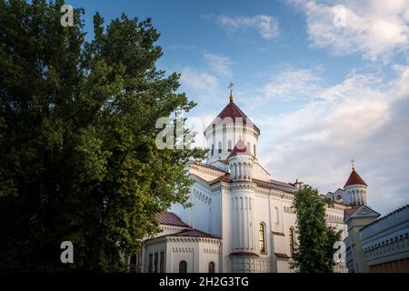 Cathédrale orthodoxe du Théotokos - Vilnius, Lituanie Banque D'Images