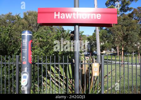 Station Hawthorne Light Rail à Leichhardt, Sydney, Nouvelle-Galles du Sud, Australie Banque D'Images