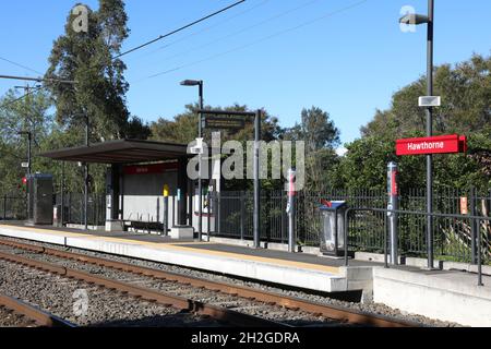 Station Hawthorne Light Rail à Leichhardt, Sydney, Nouvelle-Galles du Sud, Australie Banque D'Images
