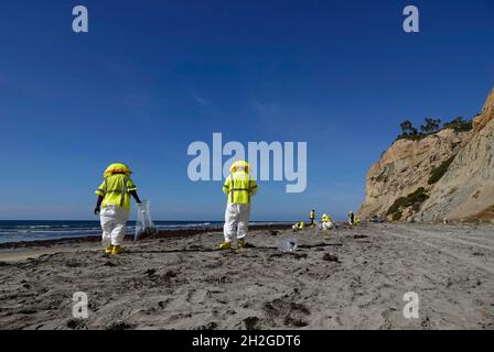 San Diego, Californie, États-Unis.20 octobre 2021.Les membres et les entrepreneurs de la Garde côtière des États-Unis ramassent des boules de goudron sur le sable de la Jolla's Black's Beach à San Diego.Les boules de goudron qui ont lavé le minerai d'un déversement d'hydrocarbures qui s'est produit au large de la côte du comté d'Orange plus tôt dans le mois.(Image de crédit : © K.C.Fil de presse Alfred/ZUMA) Banque D'Images