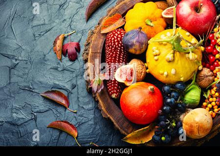 Ensemble de fruits, légumes et baies d'automne.espace pour le texte Banque D'Images