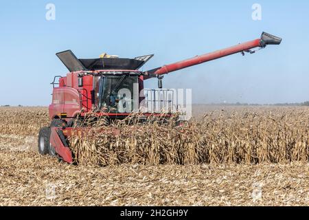 Une moissonneuse-batteuse qui récolte du maïs dans le comté de Henry, Iowa Banque D'Images