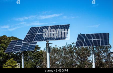 Panneaux solaires énergie verte sur les poteaux contre le ciel bleu avec des arbres en arrière-plan Banque D'Images