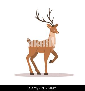 Elégant cerf de sika noble.Renne avec bois sur fond blanc.Animal mammifère de ruminant.Illustration vectorielle de style dessin animé plat Illustration de Vecteur