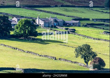 Maisons traditionnelles en pierre grise du Yorkshire et dépendances avec terres agricoles divisées avec des murs en pierre sèche à Swaledale près de la petite villa Banque D'Images