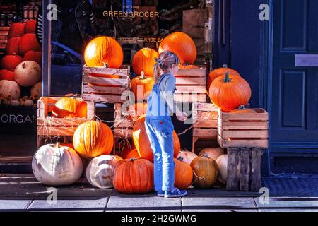 Un jeune magasine pour Pumpkins dans une épicerie du nord de Londres, en préparation pour le festival d'Halloween Banque D'Images