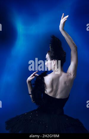 Vue arrière de la belle femme, ballerine flexible dans une tenue de ballet noire, tutu dansant dans le studio bleu plein de lumière. Banque D'Images