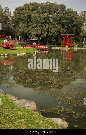 Vue verticale sur le lac Carp des Jardins japonais de Buenos Aires avec une porte rouge de Torii et un pont en arrière-plan, Palerme, Buenos Aires Banque D'Images