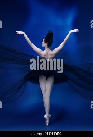 Vue arrière de la belle femme, ballerine flexible dans une tenue de ballet noire, tutu dansant dans le studio bleu plein de lumière. Banque D'Images