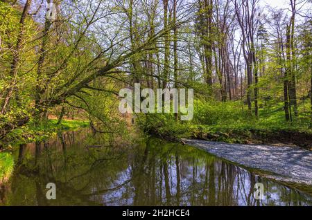 Seifersdorfer Tal, Wachau, Saxe, Allemagne: Paysage fluvial de la Große Röder dans le parc du Seifersdorfer Tal. Banque D'Images