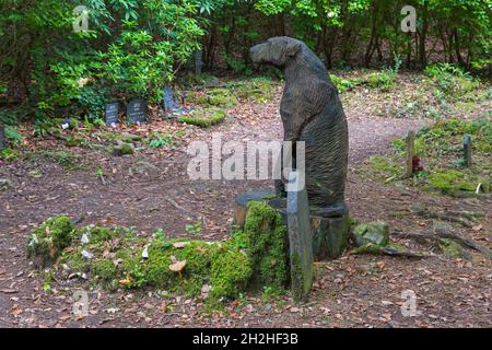 Tombes de chiens dans le cimetière de chiens à Portmeirion, Gwynedd, au nord du pays de Galles- Cimetière de animaux domestiques Banque D'Images