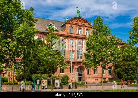 Belle vue sur le Naturmuseum Senckenberg, un musée d'histoire naturelle à Francfort-sur-le-main, en Allemagne, par une journée ensoleillée.Le musée populaire... Banque D'Images