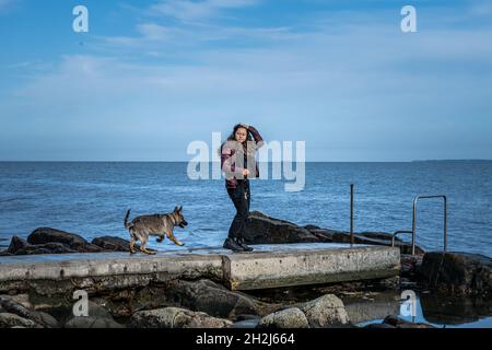 Un chiot Berger allemand de quatre mois en formation.Fond bleu océan Banque D'Images