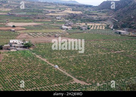 La vallée de Monastero est l'une des zones les plus fertiles de l'île presque entièrement couverte de vignobles des célèbres raisins de Zibibbo Banque D'Images