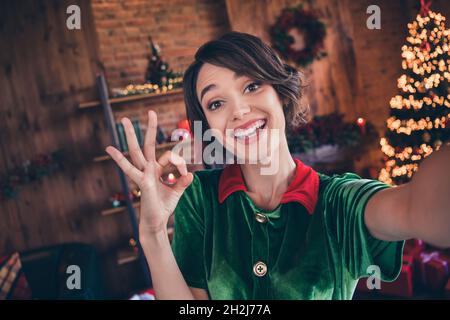 Photo de jolie drôle jeune femme vêtue costume vert souriant célébrant la nouvelle année montrant clé intérieur chambre maison Banque D'Images